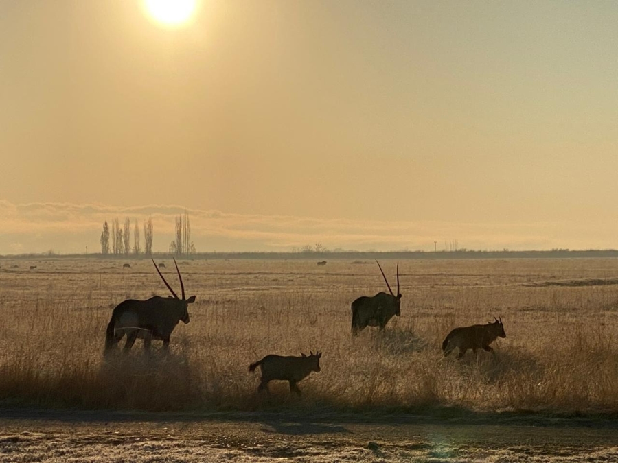 0 Bedroom Property for Sale in WestLake Country Safari Estate North West